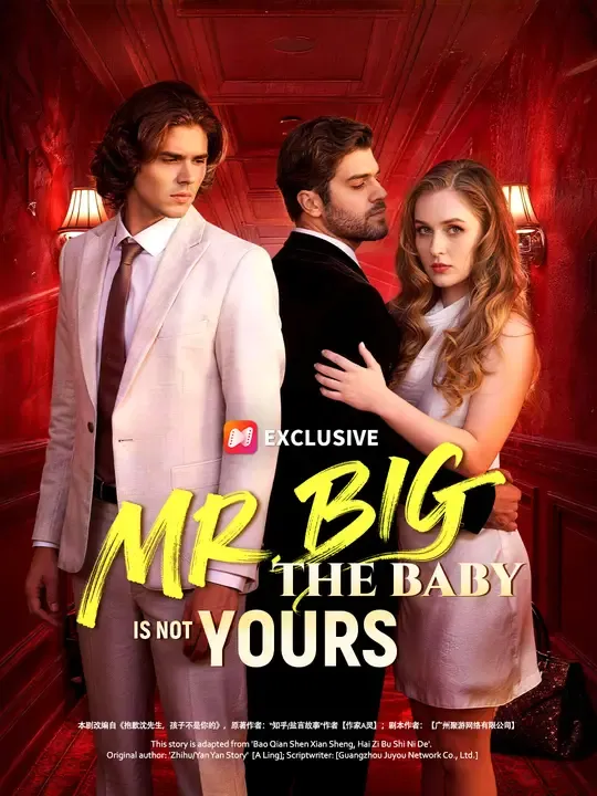 Mr. Big, The Baby is Not Yours poster