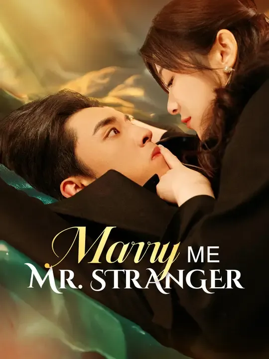 Marry Me, Mr. Stranger poster