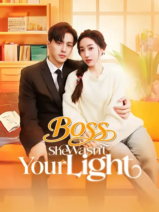 Boss, She Wasn't Your Light poster