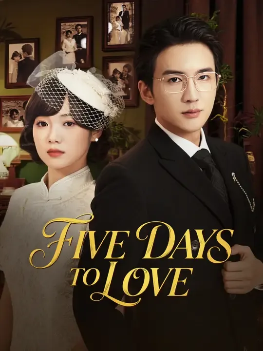 Five Days to Love poster
