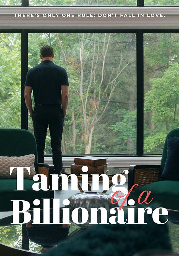 Taming of a Billionaire poster