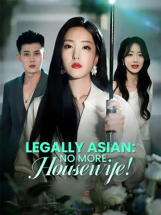 Legally Asian: No More Housewife! poster