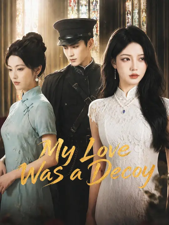 My Love Was a Decoy poster