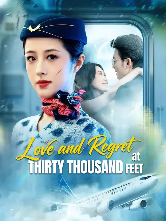 Love and Regret at Thirty Thousand Feet poster
