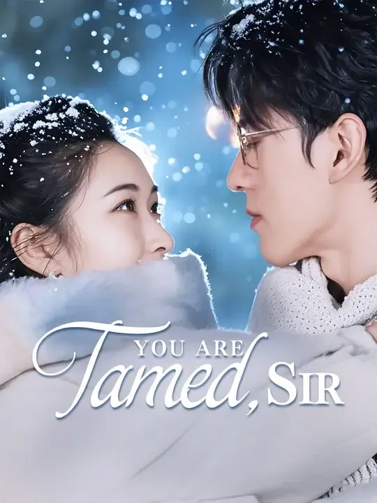 (Dubbed)You Are Tamed, Sir poster
