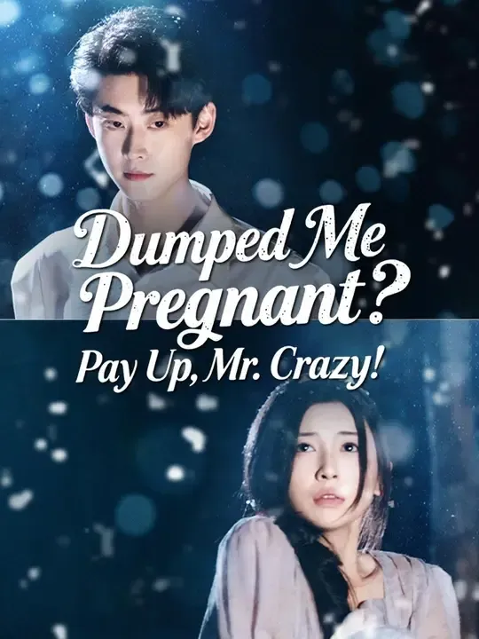 (Dubbed)Dumped Me Pregnant? Pay Up, Mr. Crazy! poster